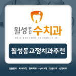 월성동교정치과추천